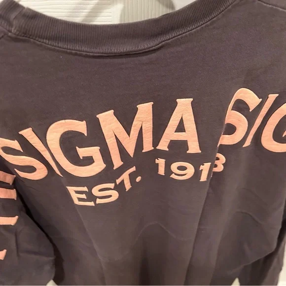 Phi Sigma Sigma Gray Long Sleeve Shirt - Picture 3 of 6